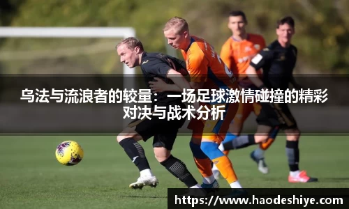 米兰体育